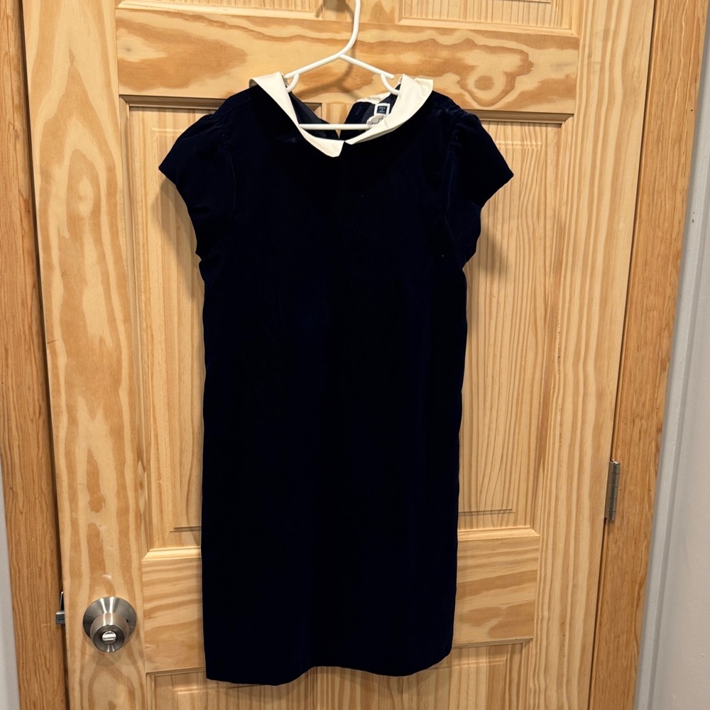 Janie and jack velvet shift Navy Dress with Collar - Picture 1 of 9